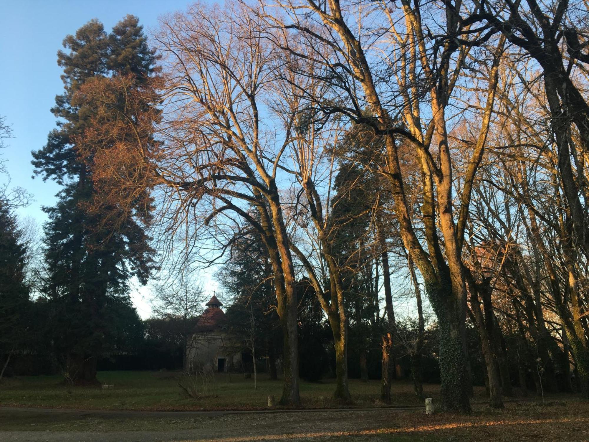 Chateau De Chasseneuil Sur Bonnieure Exterior foto