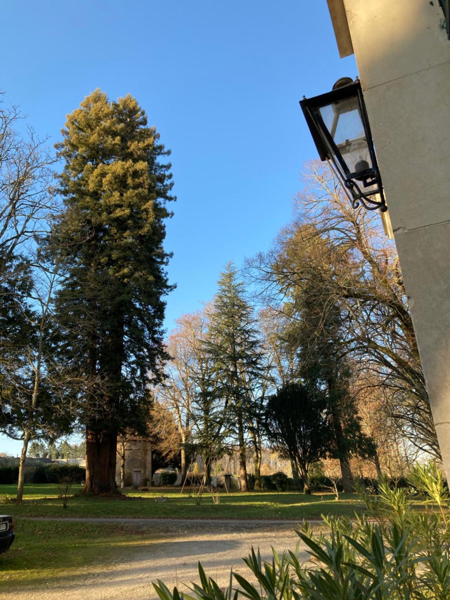 Chateau De Chasseneuil Sur Bonnieure Exterior foto